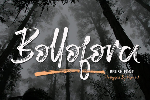 Bollofora: A Handwritten Font for Campaigns